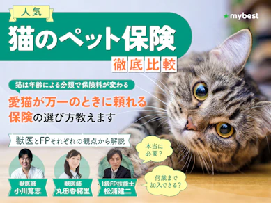 猫のペット保険のおすすめ人気ランキング【どこがいい?2026年徹底比較】