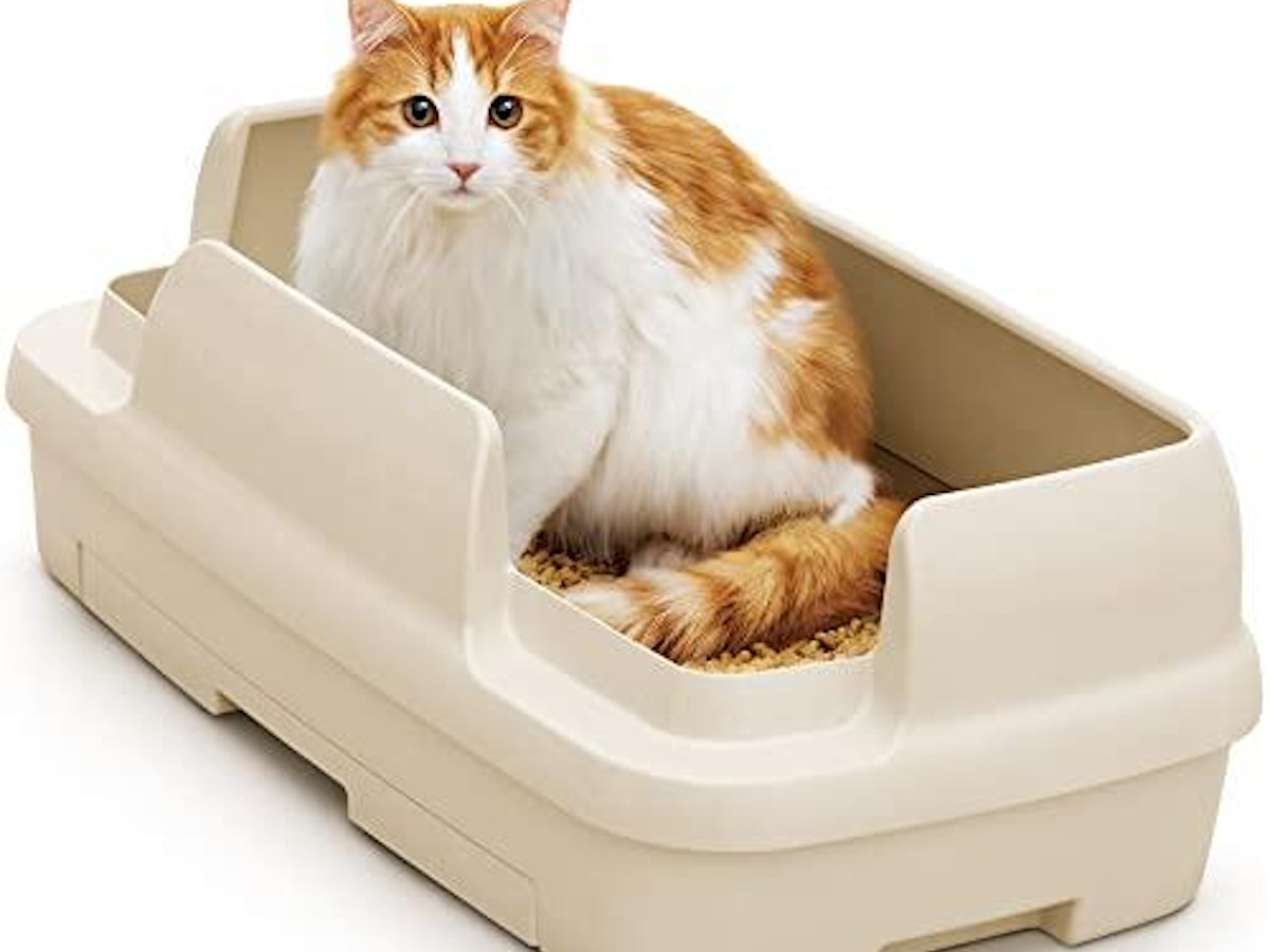 大型の猫トイレのおすすめ人気ランキング【2026年5月】 | マイベスト 大型の猫トイレのおすすめ人気ランキング【2026年5月】 | マイベスト