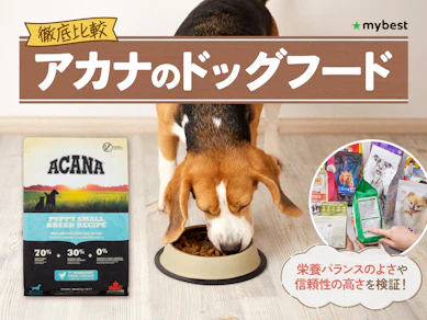 【徹底比較】アカナのドッグフードのおすすめ人気ランキング【2026年3月】