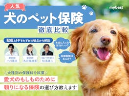 犬のペット保険のおすすめ人気ランキング【どこがいい?2026年徹底比較】