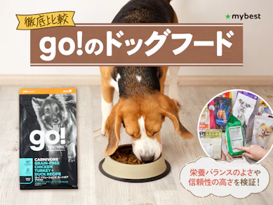 【徹底比較】go!のドッグフードのおすすめ人気ランキング【2026年3月】