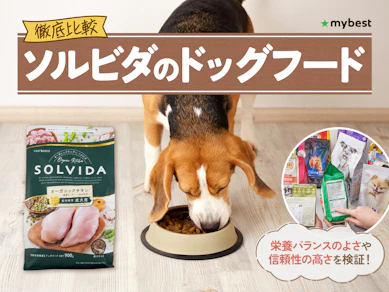 【徹底比較】ソルビダのドッグフードのおすすめ人気ランキング【2026年3月】