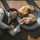 ペットと泊まれる宿のおすすめ人気ランキング【2026年6月】