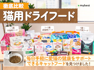【徹底比較】猫用ドライフード・カリカリのおすすめ人気ランキング【2025年12月】
