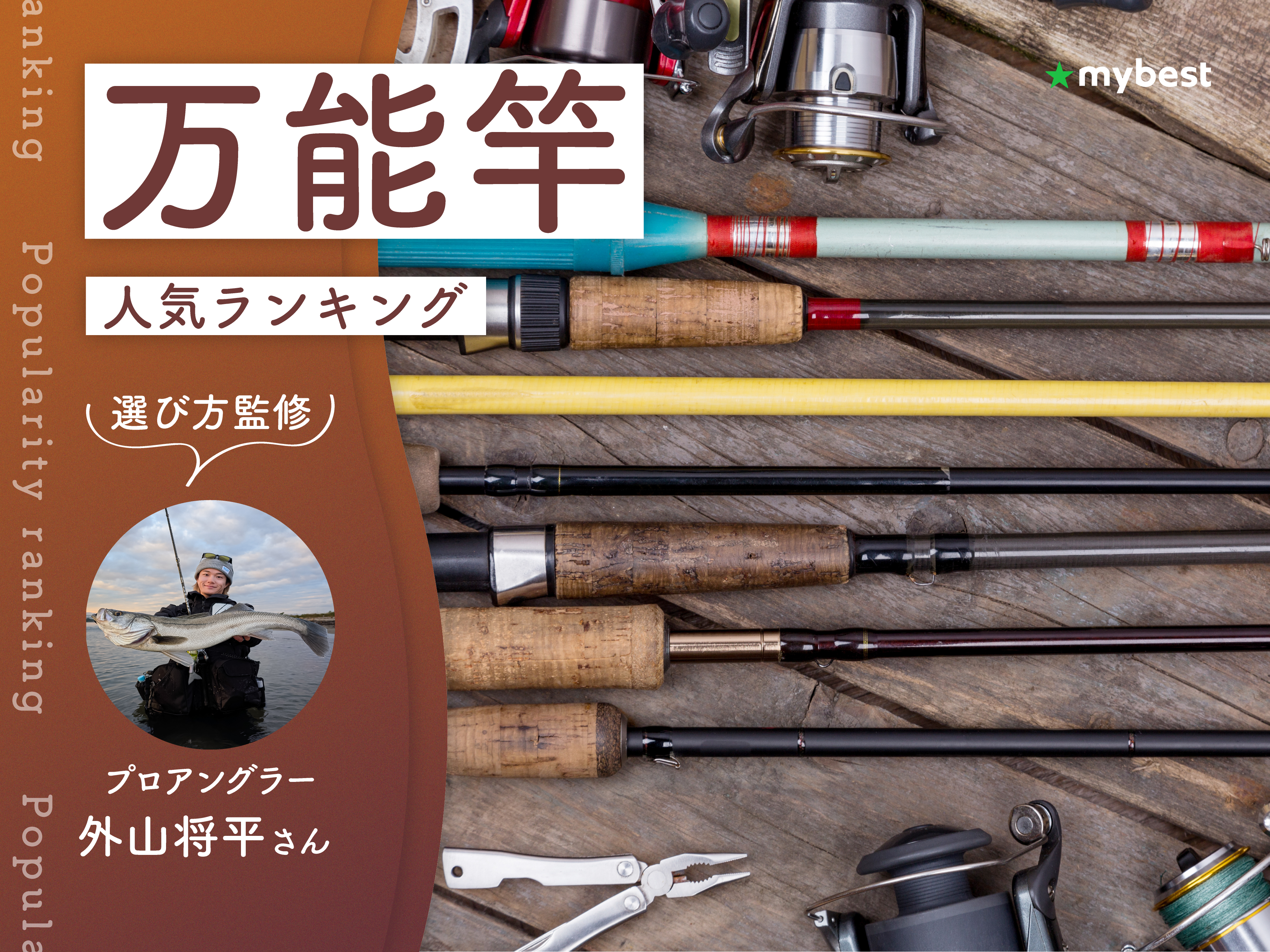 万能竿 万能竿のおすすめ人気ランキング【専門家監修！2026年9月】 | マイベスト