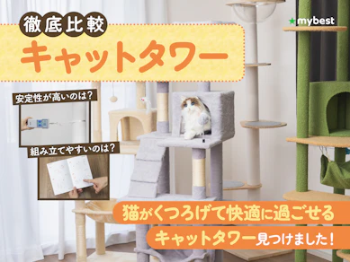 【徹底比較】キャットタワーのおすすめ人気ランキング【2026年3月】