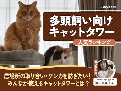 多頭飼い向けのキャットタワーのおすすめ人気ランキング【2026年8月】
