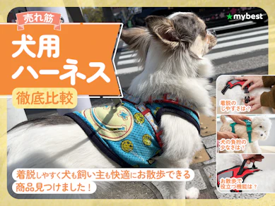 【徹底比較】犬用ハーネスのおすすめ人気ランキング【2025年】