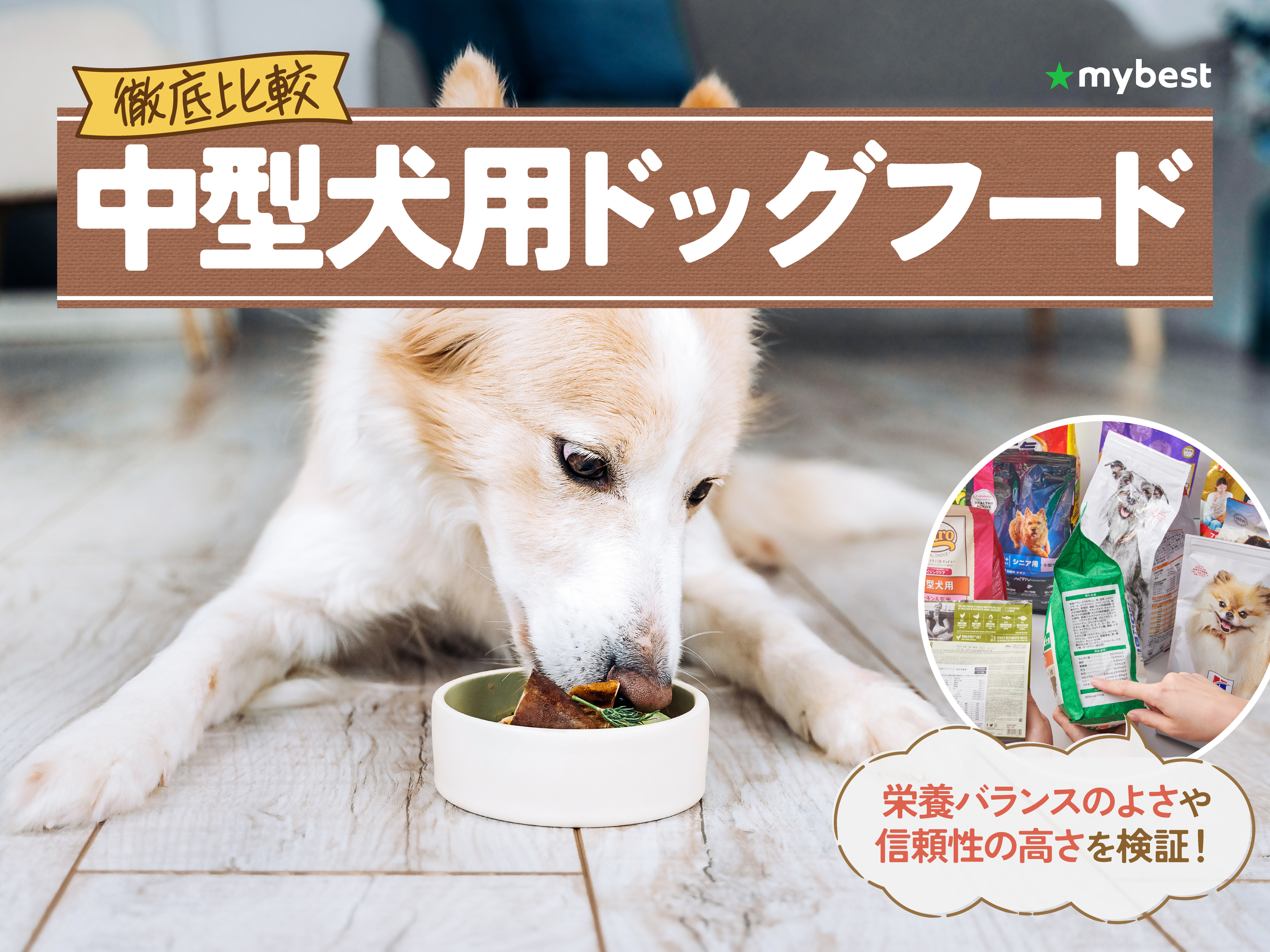 徹底比較】中型犬用ドッグフードのおすすめ人気ランキング【2026年3月
