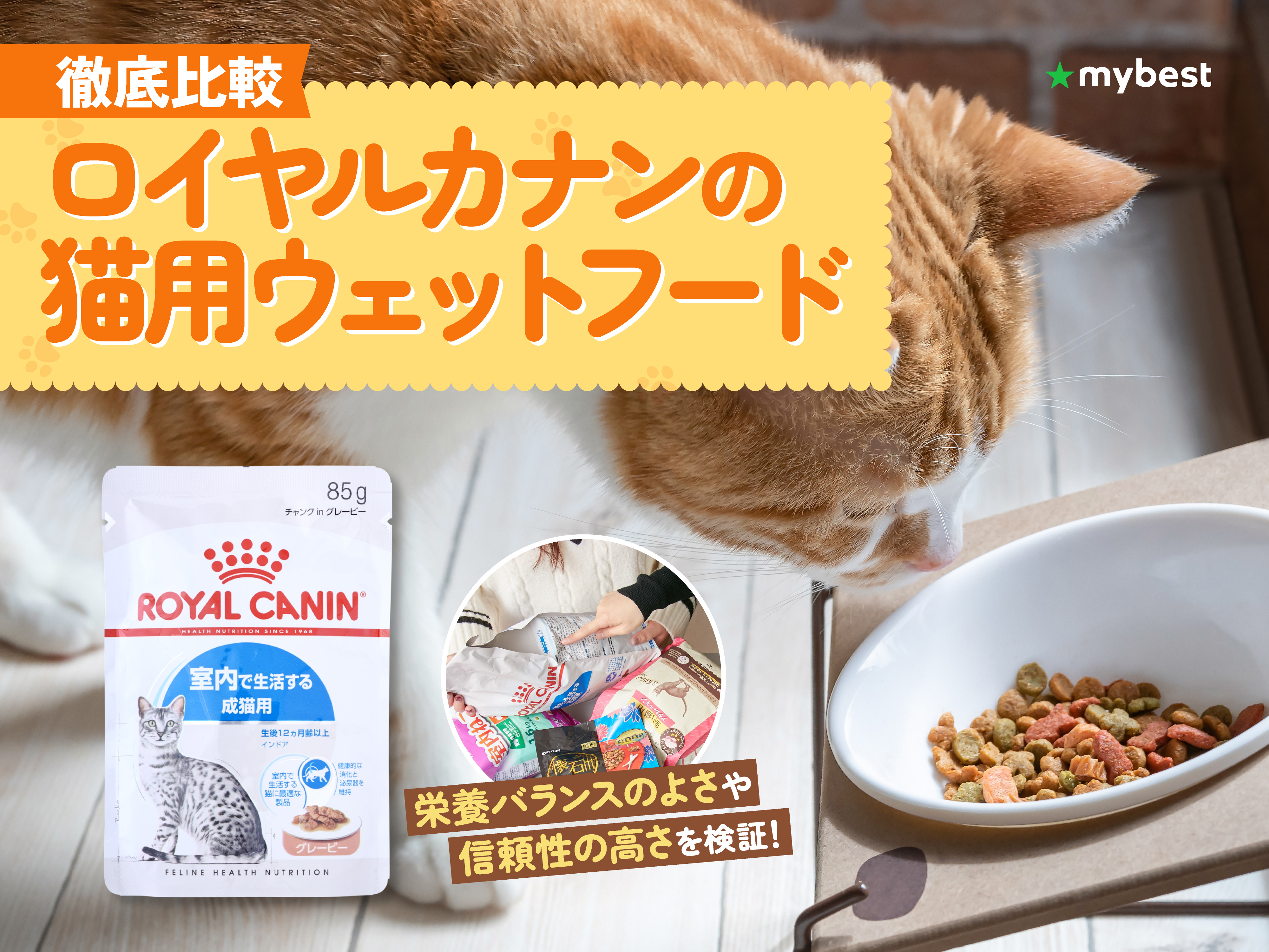 徹底比較】ロイヤルカナンの猫用ウェットフードのおすすめ人気