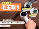 毛玉取り