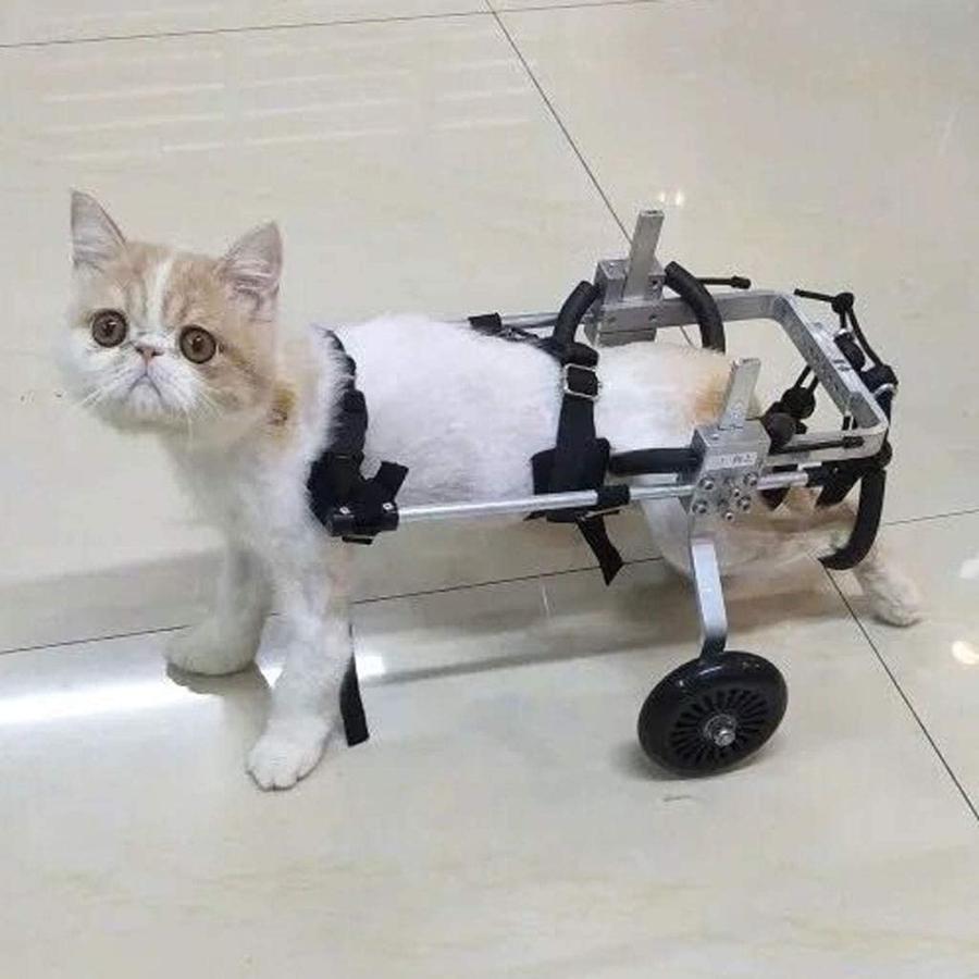 猫用車椅子　猫の車椅子　２輪車　リハビリ用　ねこの歩行器　4kg 猫用車椅子 猫の車椅子 2輪車 リハビリ用 ねこの歩行器 4kg
