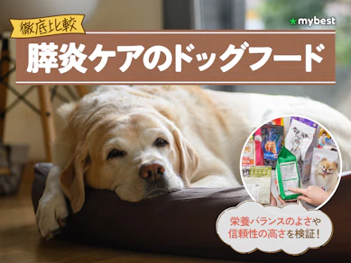 【徹底比較】膵炎ケアのドッグフードのおすすめ人気ランキング【2026年3月】