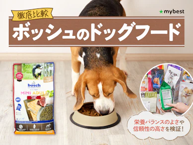 【徹底比較】ボッシュのドッグフードのおすすめ人気ランキング【2026年3月】