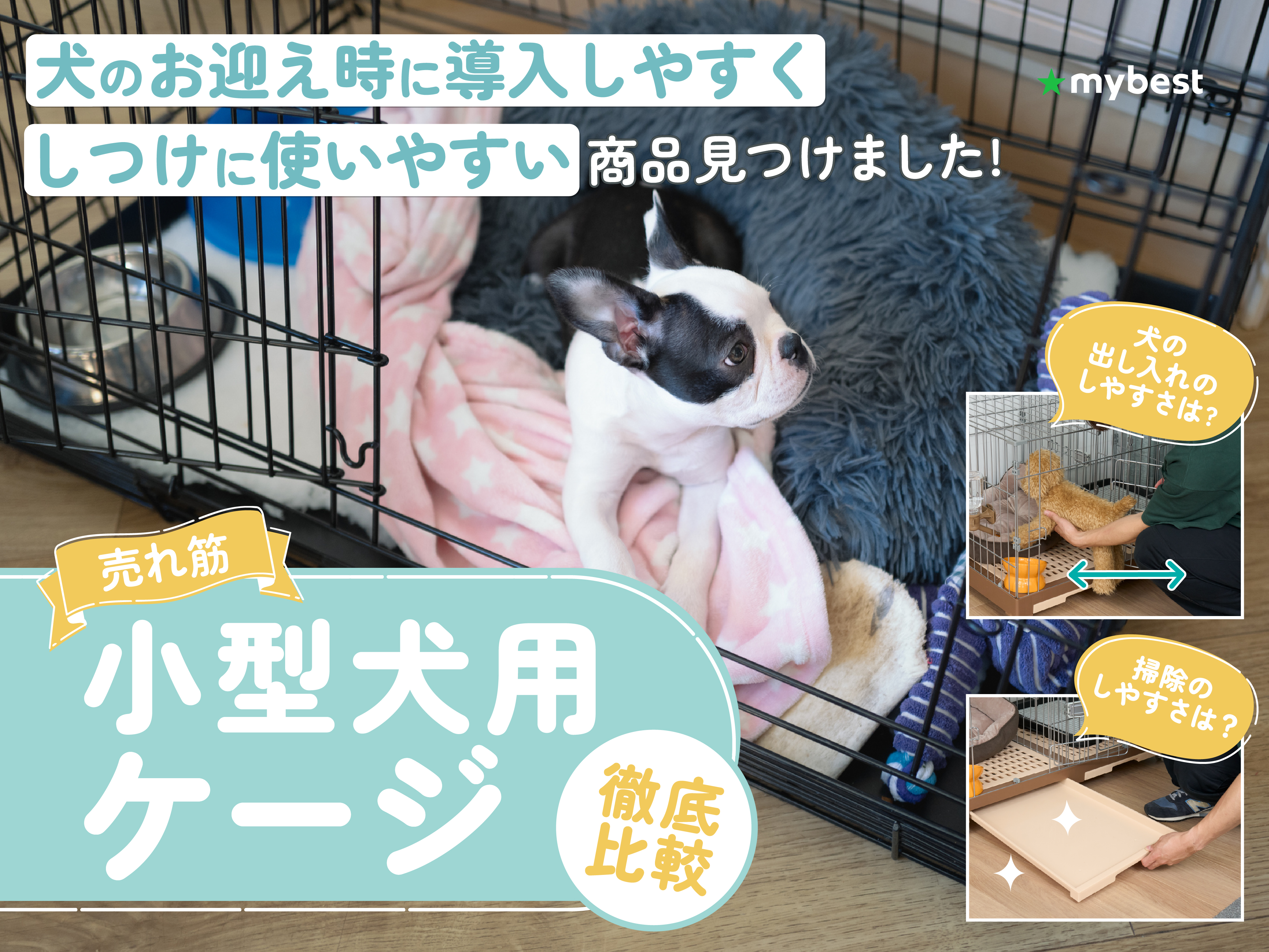 徹底比較】小型犬用ケージのおすすめ人気ランキング【2026年3月 