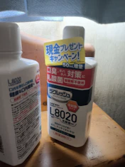 クチコミ画像
