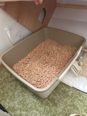 クチコミ画像