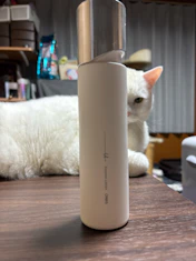 可もなく不可もなしの投稿画像1