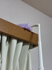 大掃除が苦手な私の救世主。の投稿画像1