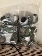 クチコミ画像