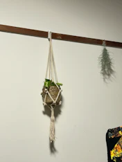 機能性も実用性も良くて植物に優しい。の投稿画像1