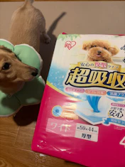 クチコミ画像
