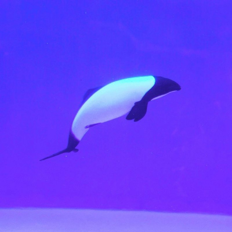 晴規