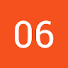 06