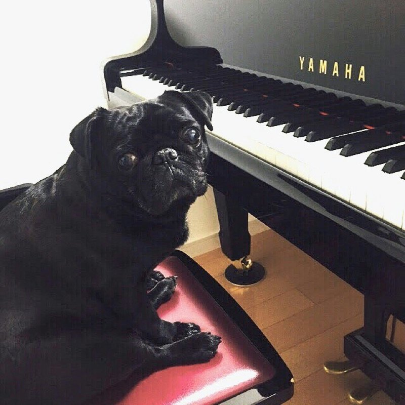 ひかり