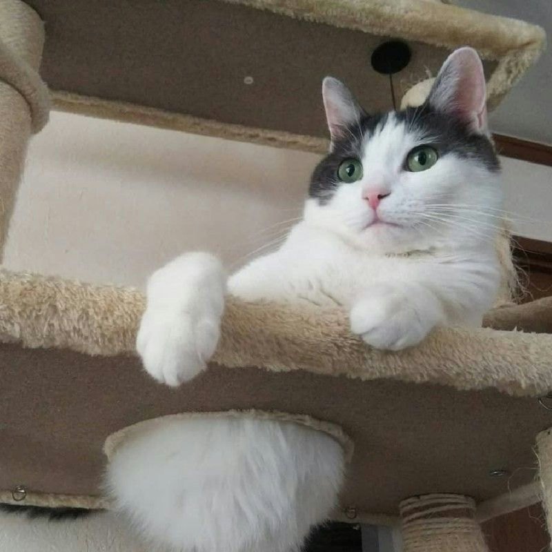 いちぢっく