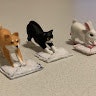たく
