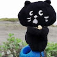 Koji Saito