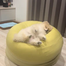 まめこママ