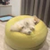 まめこママ