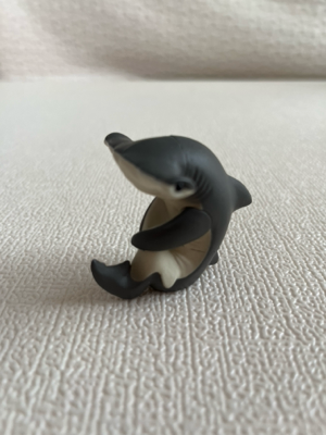 サメさん