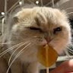 ゆき