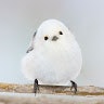 こな