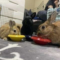 ♡さち♡