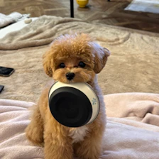 マルプーのポテチ