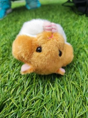 うか