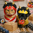 みどべん