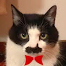 ハナ