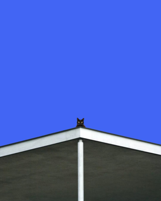 Kung