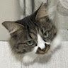 まご