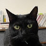 ぬぬぬ