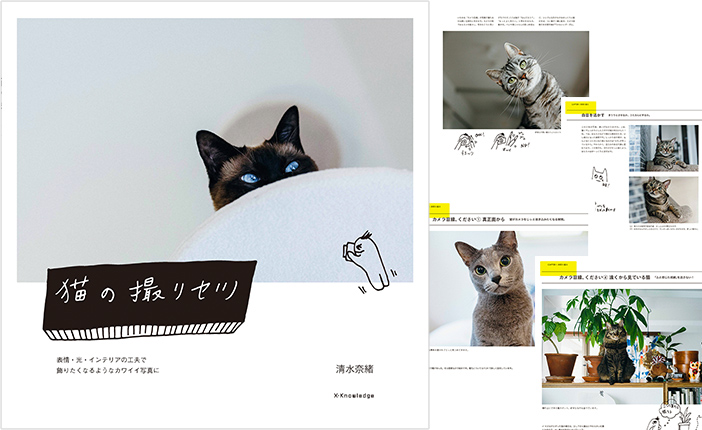 キャットシッターがおすすめする猫本10選【猫好き必見！】