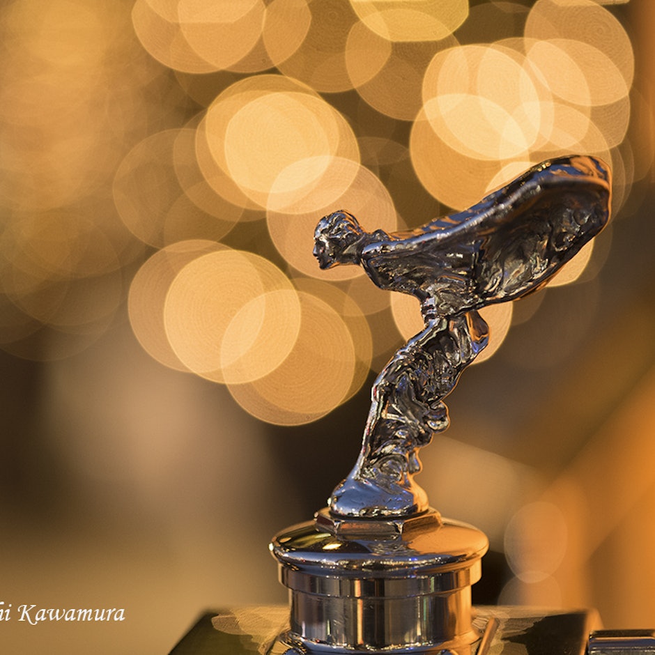 写真家が厳選!初心者におすすめのカメラ10選【コンデジから一眼レフまで】