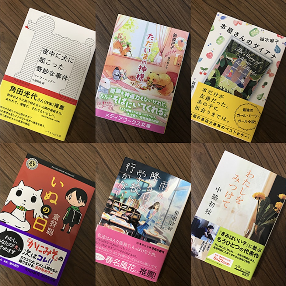 小説好きブロガーがおすすめする泣ける小説14選
