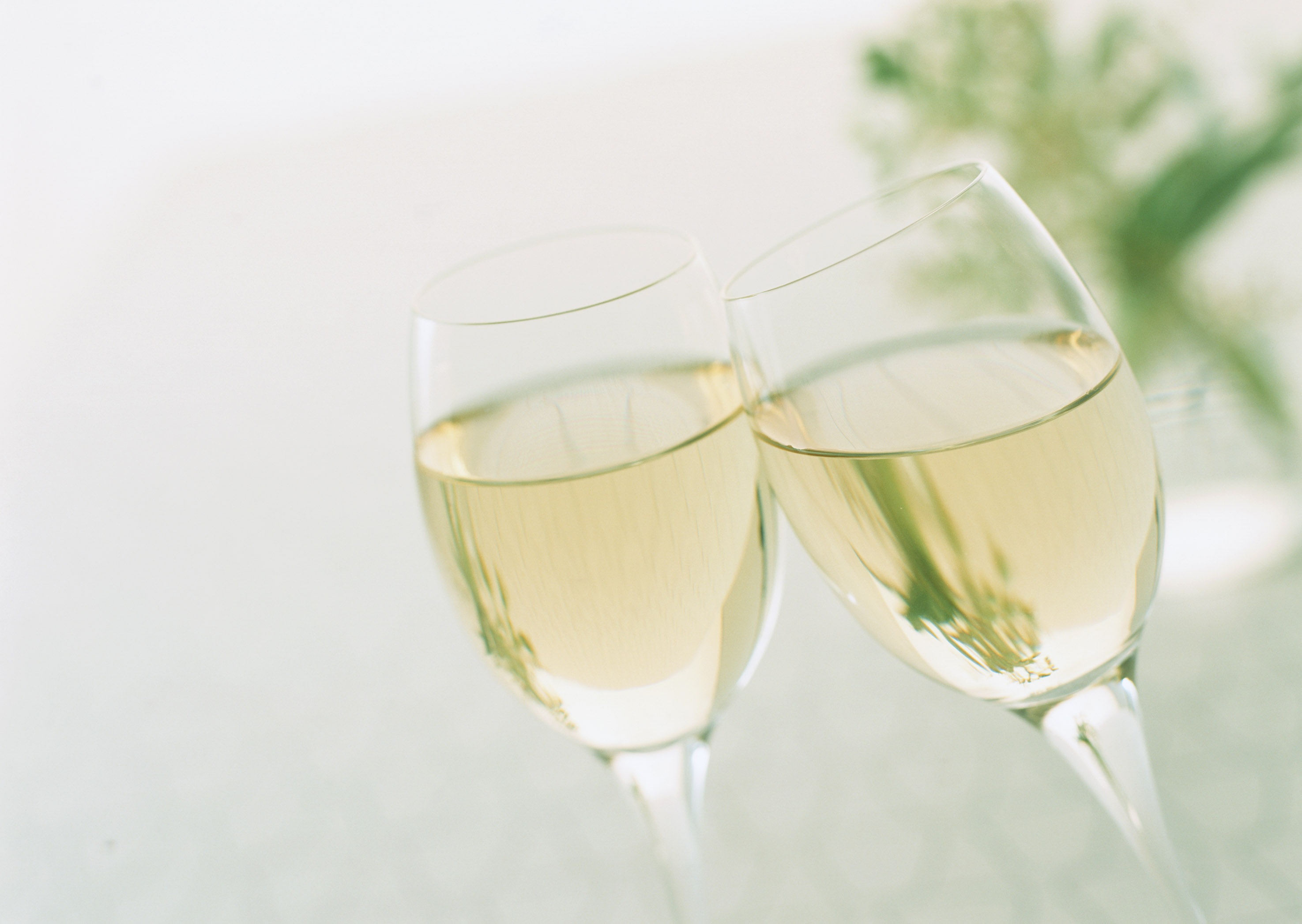 ソムリエが厳選！暑い季節におすすめのワイン＆スパークリング9選