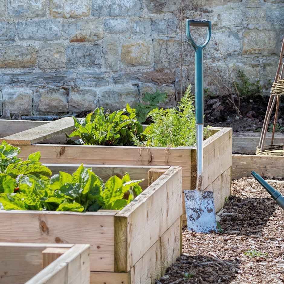 やさい番組のMCがおすすめ!野菜・お米作りを楽しくしてくれる道具10選